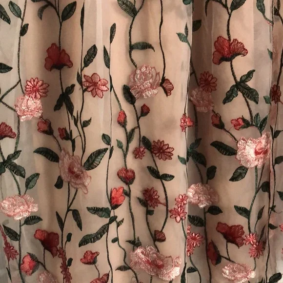 Baltic Born Duchess Embroidered Tulle Puff Sleeve Midi Dress in Rose Garden - Picture 10 of 14